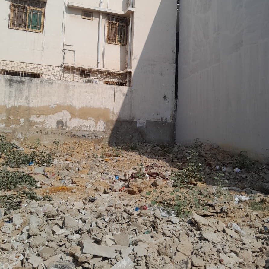 Plants growing in a destroyed empty residential plot
